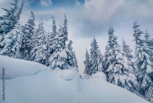 Untouched winter landscape. Misty morning scene of mountain forest. Fabulous winter view of Carpathian mountains, Ukraine, Europe. Beauty of nature concept background. © Andrew Mayovskyy