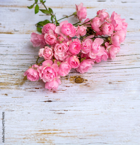 Beautiful Pink Roses on a White Wooden Background  with Copy Paste 