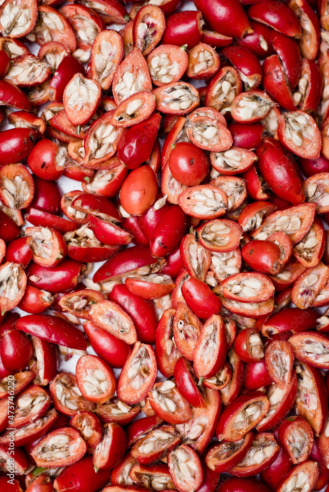 rose hip rose hip