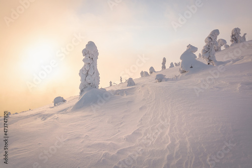 Fabulously beautiful winter landscapein the Carpathians. Winter nature. Frosty weather. Sunny day. Snow covered trees and mountains. Christmas background