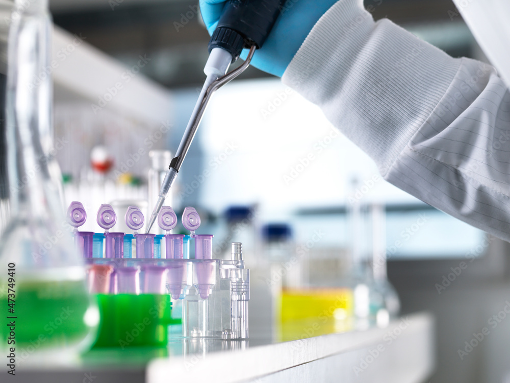 Cropped hand of male scientist pipetting DNA samples into vials for experiment in laboratory Cropped hand of male scientist pipetting DNA samples into vials for experiment in laboratory