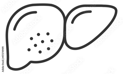 Liver icon. Hepatic symbol in outline style. Human organ