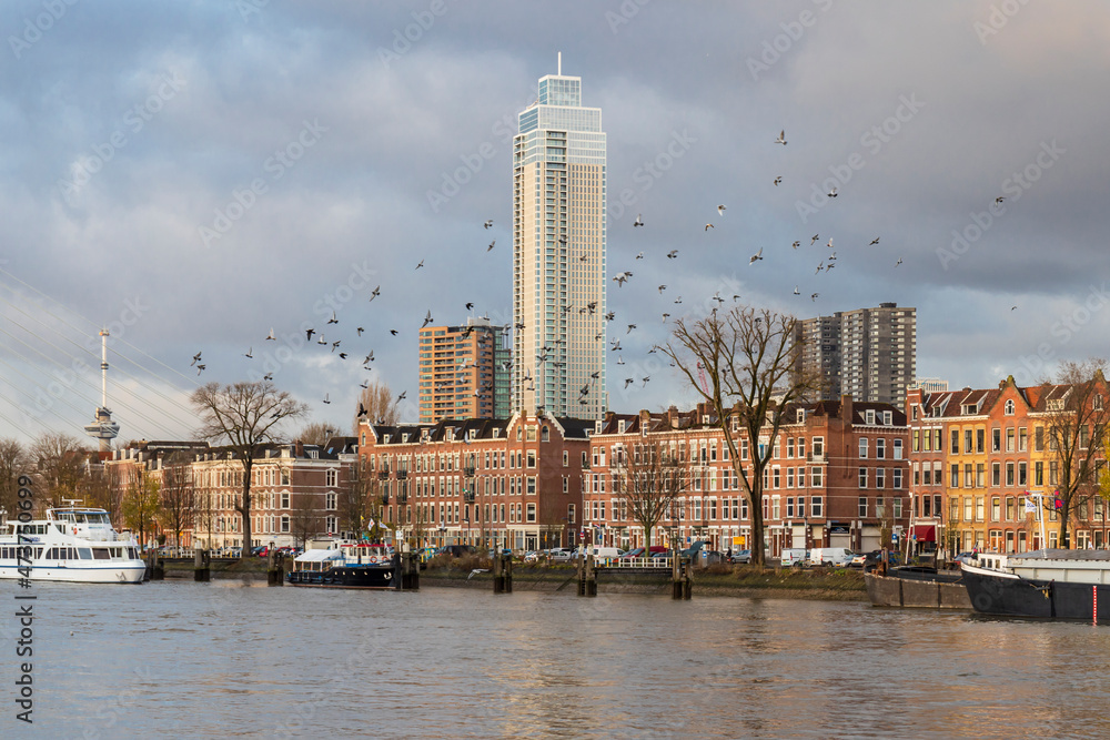 Zalmhaven tower in Rotterdam