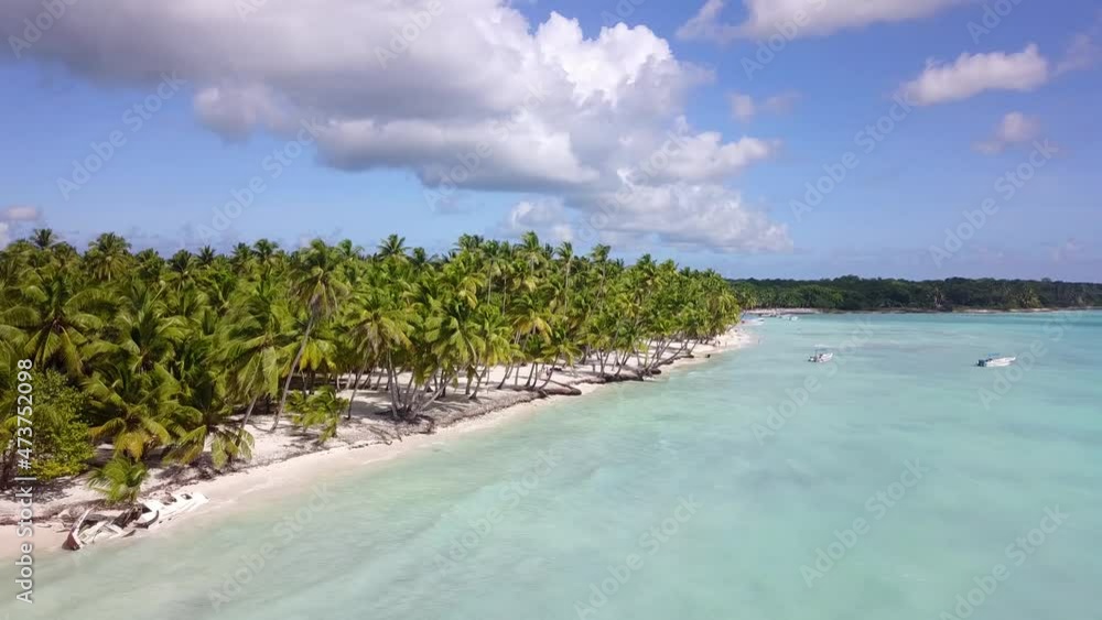 Tropic island. Many palms. Caribbean beach background. Sunny tropical beach. Hot afternoon on an empty beach. The best beaches in the world. Dominican Republic beaches. Aerial drone shot Tropic island. Many palms. Caribbean beach background. Sunny tropical beach. Hot afternoon on an empty beach. The best beaches in the world. Dominican Republic beaches. Aerial drone shot