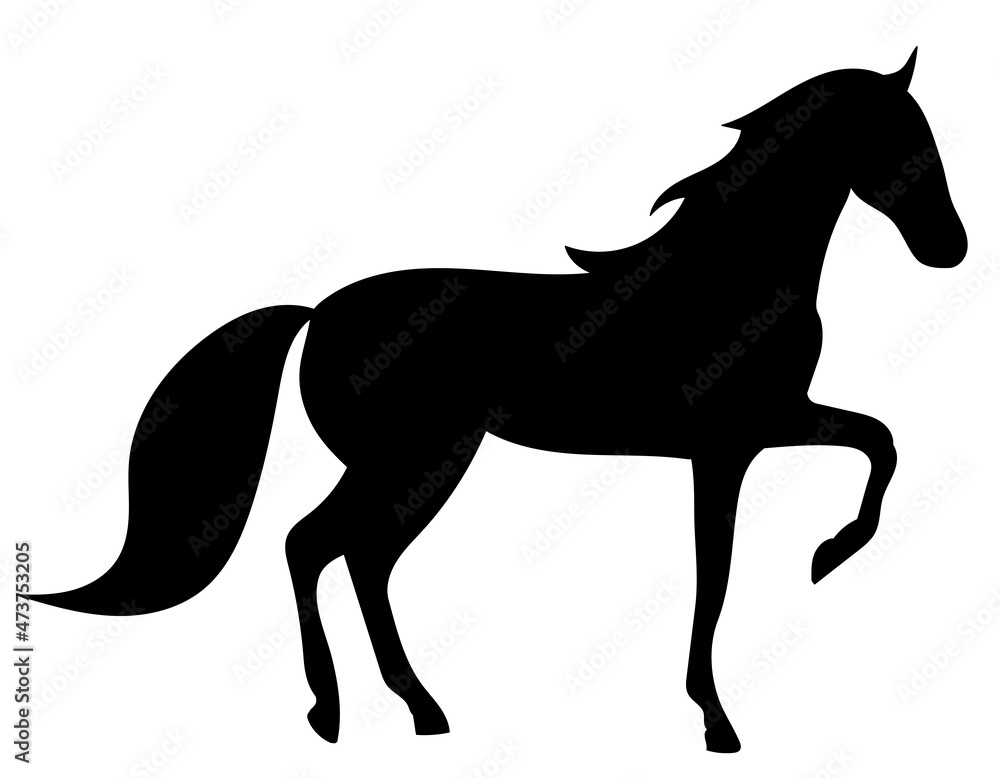horse silhouette on white background, isolated, vector