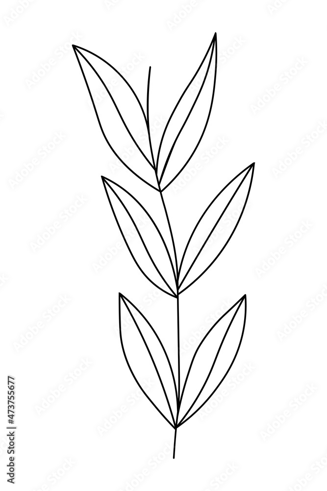 Sketch spring floral plants with leaves. Botanical Isolated illustration element. Vector hand drawing branch for background, texture, card, wrapper pattern, frame or border.
