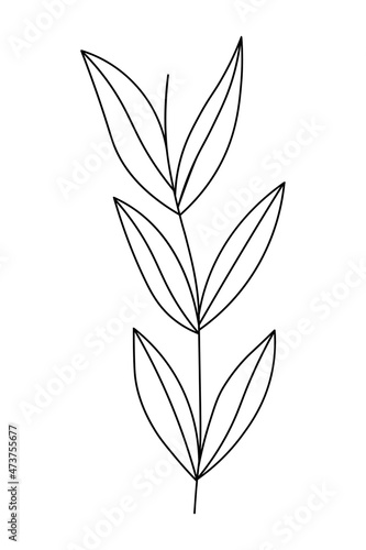 Sketch spring floral plants with leaves. Botanical Isolated illustration element. Vector hand drawing branch for background  texture  card  wrapper pattern  frame or border.