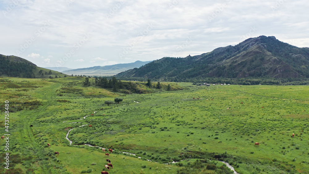 Fototapeta premium Beautiful panorama of mountains, mountain river, Nature of Russia, Taiga, Trail of the Ancestors, Yenisei river, Khakassia, Russia