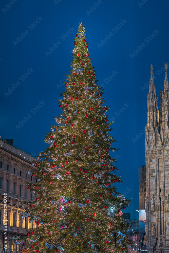 Fototapeta premium christmas tree in Piazza Duomo 