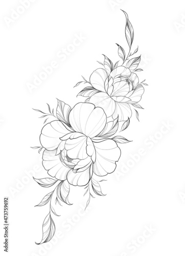 Hand drawn line art ink and watercolor peonies in graphic style. Feminine tattoo sketch, spring floral blooming, black and white illustration