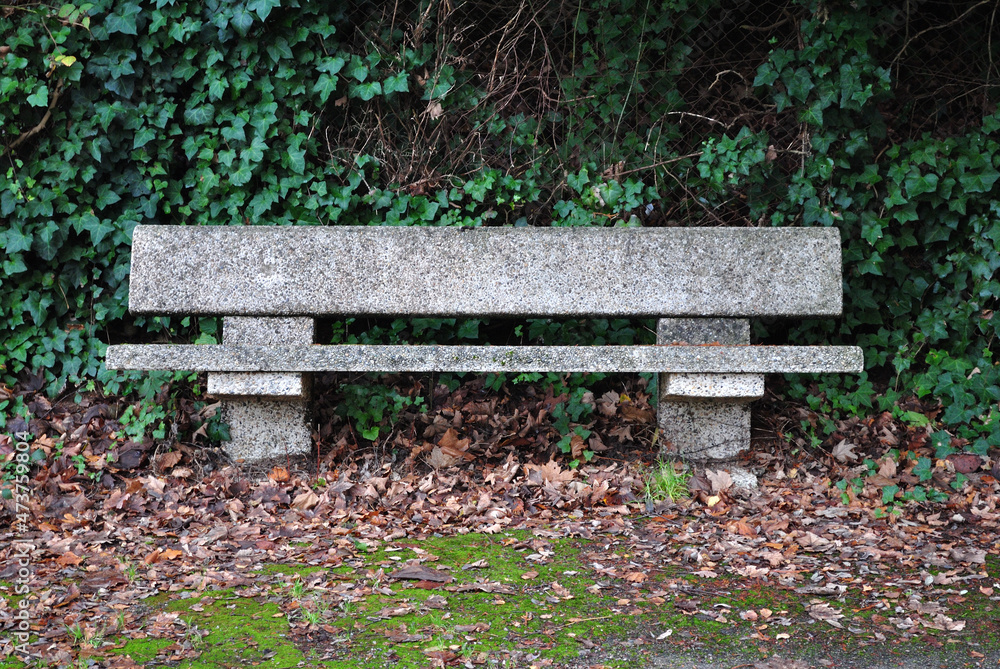 Close Up of Empty Concrete Bench in Park Close Up of Empty Concrete Bench in Park