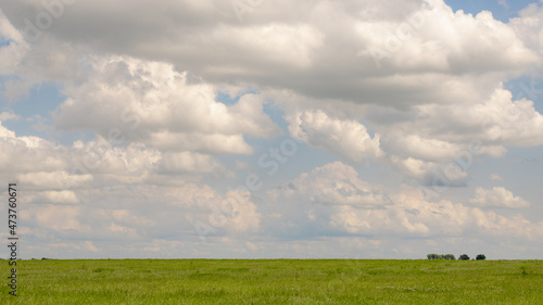 Summer countryside landscape with flat and low land under blue sky  Typical Dutch polder land with grass meadow  Small canal or ditch on the green field  Groningen  A city in the northern Netherlands.