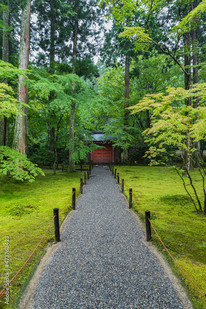 門 門