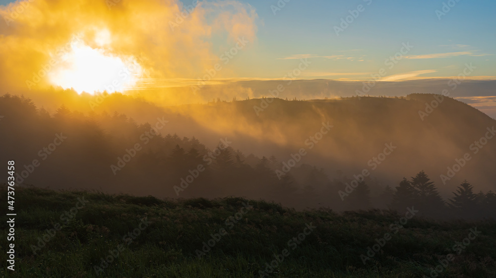 Fototapeta premium 朝日