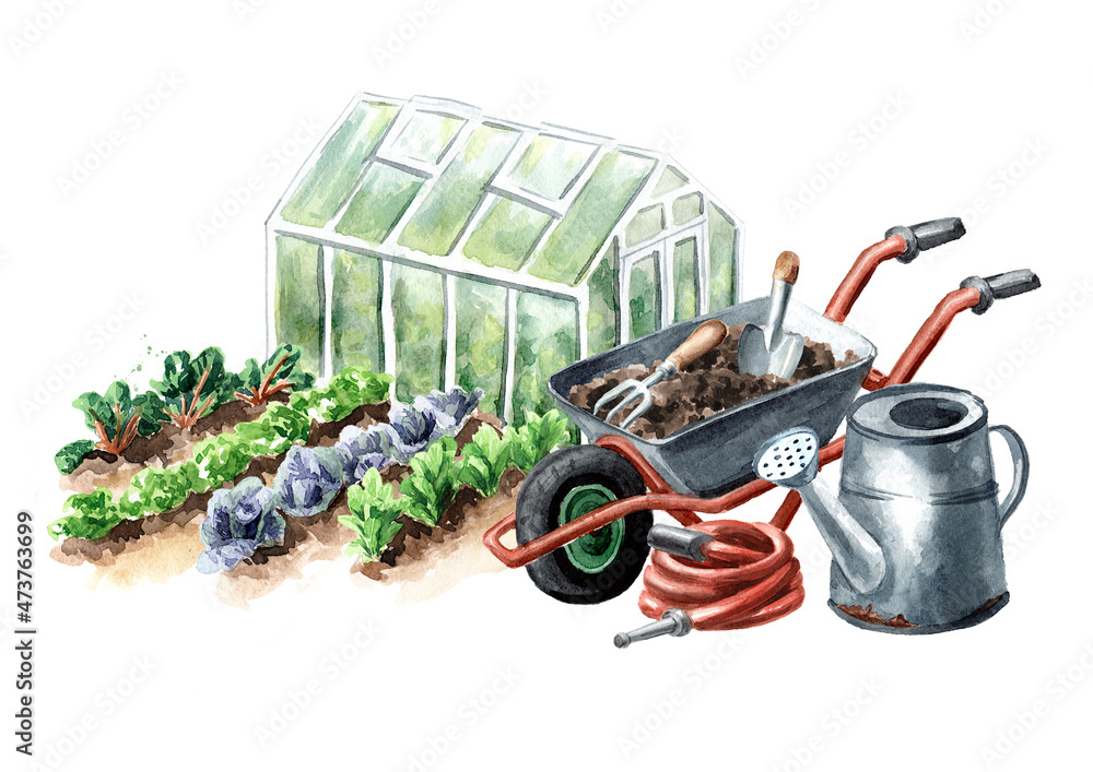 Garden greenhouse, vegetable beds and gardening tools. Spring work in the  garden. Hand drawn watercolor illustration isolated on white background  Illustration Stock | Adobe Stock