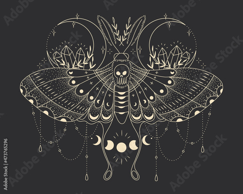 mystical illustration of a butterfly or moth. mysterious night in a secret garden. magic aesthetics, wildlife, retro vintage engraving style