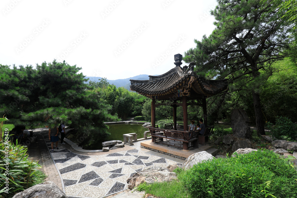 Pond scenery of Beijing Botanical Garden