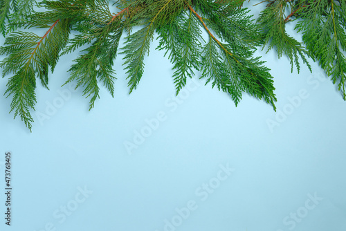 Festive Christmas background with fir twigs. Flat lay  top view on light blue paper background with copy-space