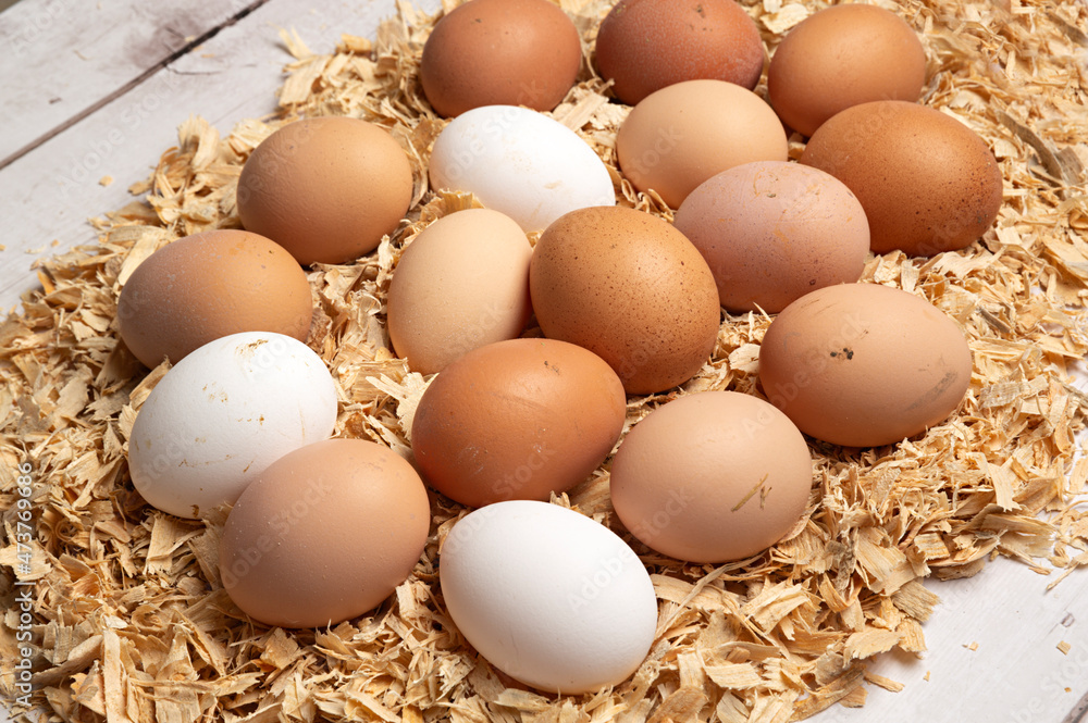Huevos frescos de gallina blancos y marrones. Huevos frescos de gallina blancos y marrones.