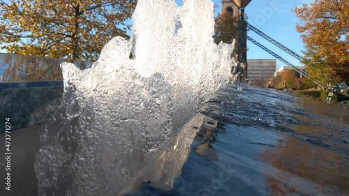 Close-up of an artificial fantan in the park photo