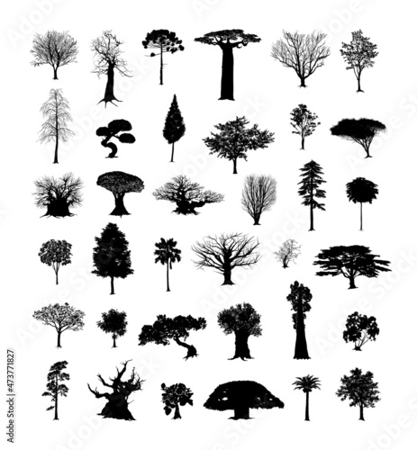 Set of black trees. Vector objects for creating patterns, wallpapers, and decorations. photo