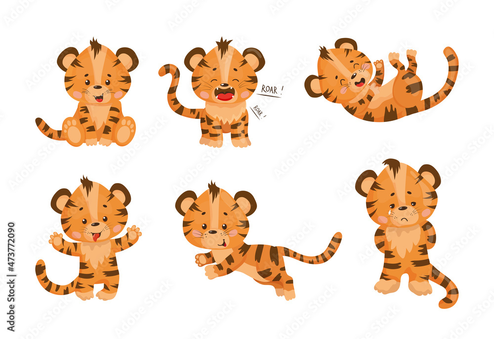 Fototapeta premium Collection of cartoon illustrations with tiger performing different actions. Colorful cute character.