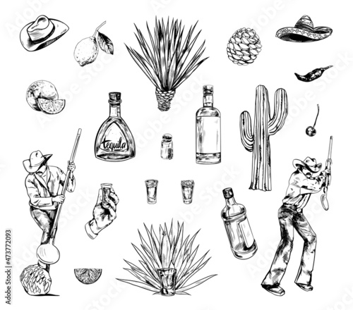 Collection of monochrome illustrations of tequila production in sketch style. Hand drawings in art ink style. Black and white graphics.