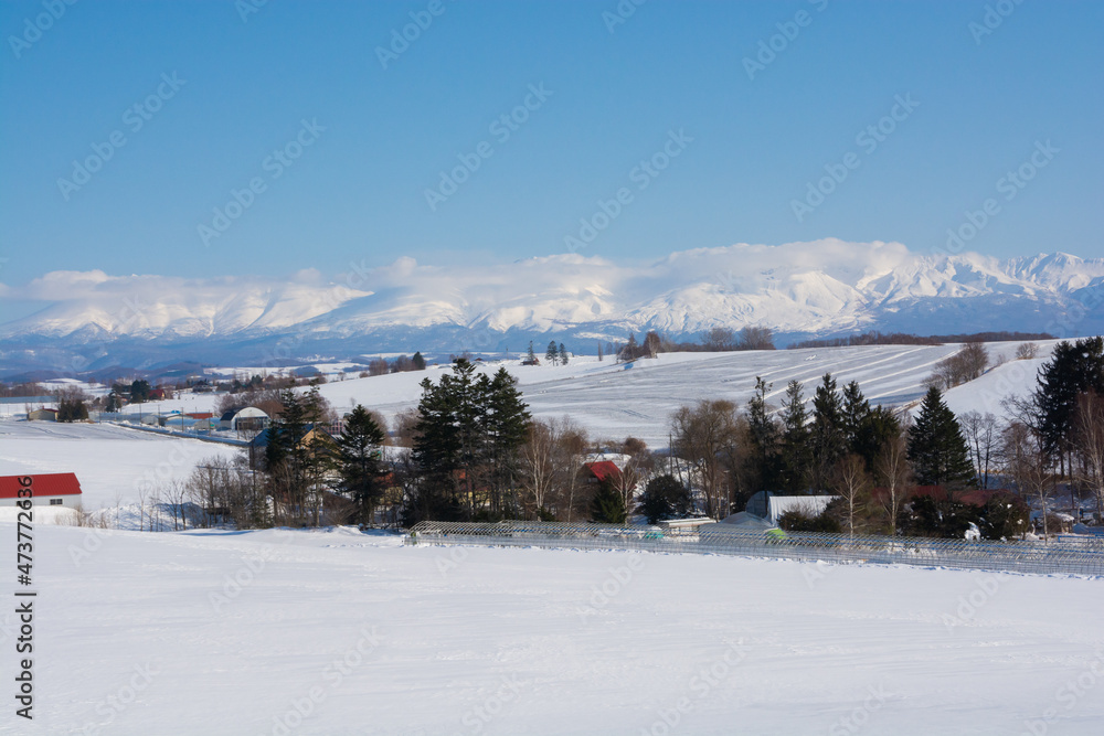 冬の晴れた日の融雪剤がまかれた畑と雪山　十勝岳連峰
