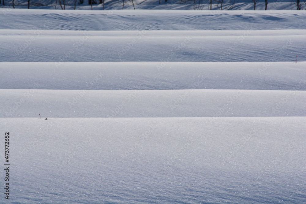 Obraz premium 雪が積もった棚田の影 