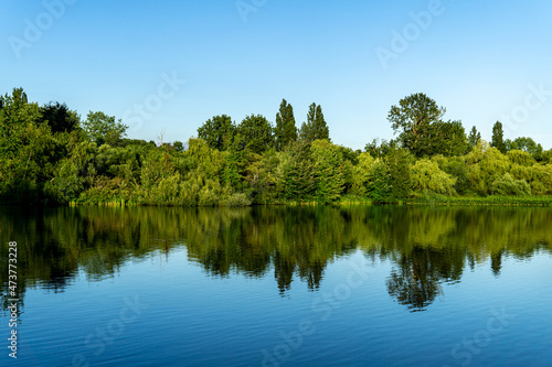 Fototapeta Naklejka Na Ścianę i Meble -  Crystal and turquoise water of the Trout Lake in Vancouver and green trees on the shore