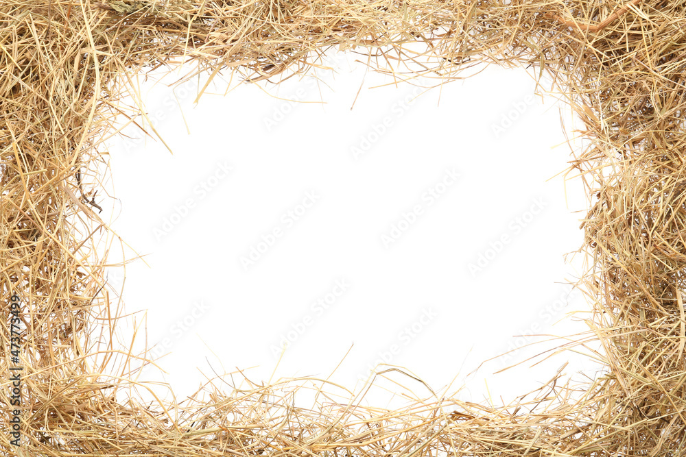 Frame made of dried hay on white background, top view. Space for text - obrazy, fototapety, plakaty 