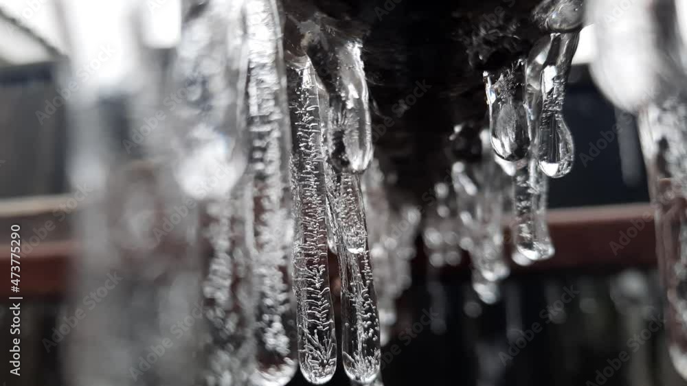 Frozen icicles hang in a row Frozen icicles hang in a row