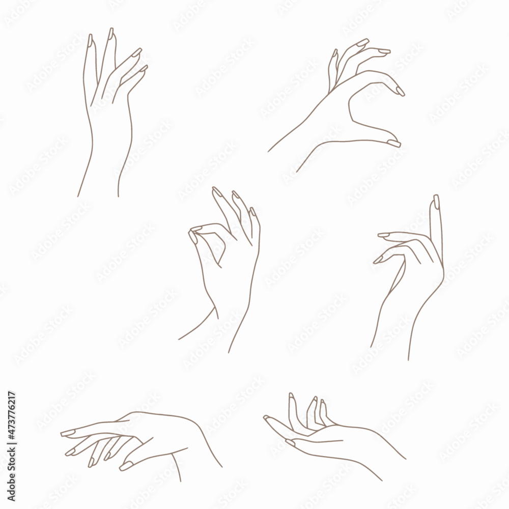 Minimalist bohemian feminine hands vector set lineart for gestures Minimalist bohemian feminine hands vector set lineart for gestures