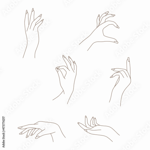 Minimalist bohemian feminine hands vector set lineart for gestures