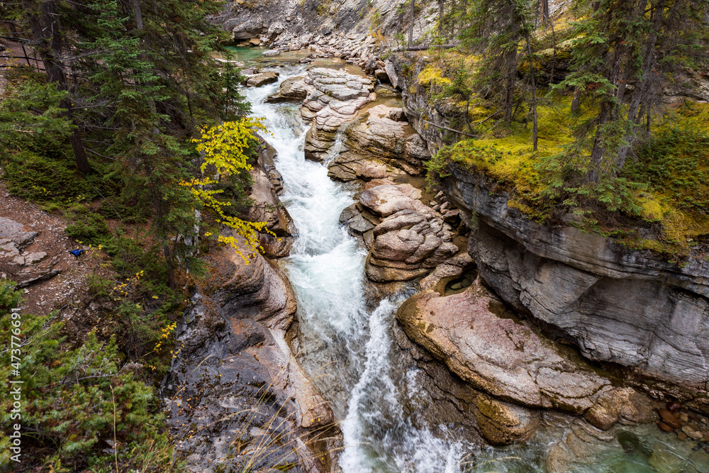 Obraz premium waterfall in the forest