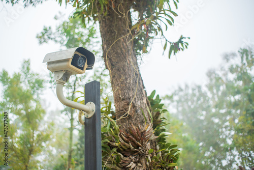 CCTV, on a natural background.