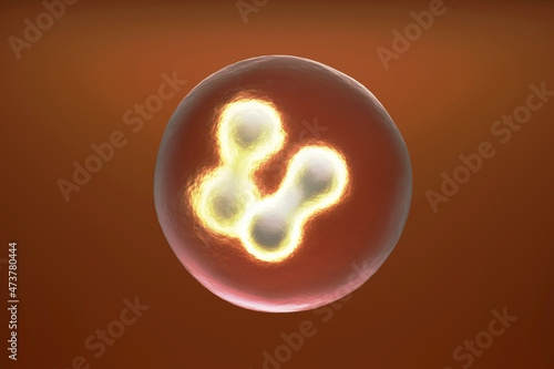 Three dimensional render of mitosis process photo