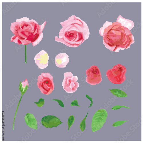 set of roses with leaves