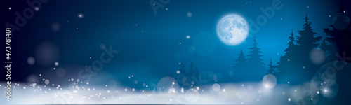 BANNIÈRE DÉCOR DE NUIT DE NOËL