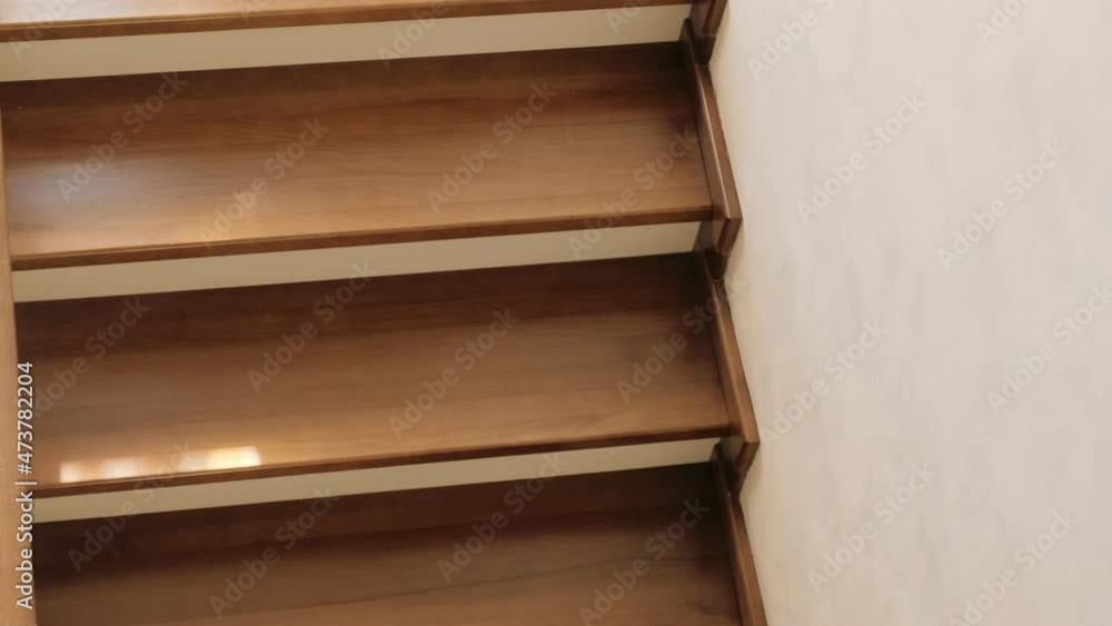 Dog slow motion down stairs. Media. Light funny white terrier goes down the internal wooden stairs inside the house Dog slow motion down stairs. Media. Light funny white terrier goes down the internal wooden stairs inside the house