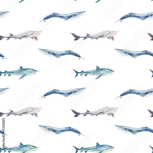 Watercolor seamless pattern with blue fish: shark, whale. Underwater world.