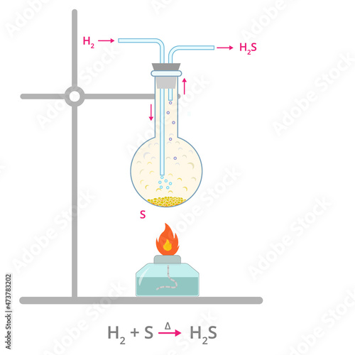 Vector illustration of hydrogen sulfide release.  Hydrogen sulfide production diagram. Chemistry reaction infographic of hydrogen sulfide. photo