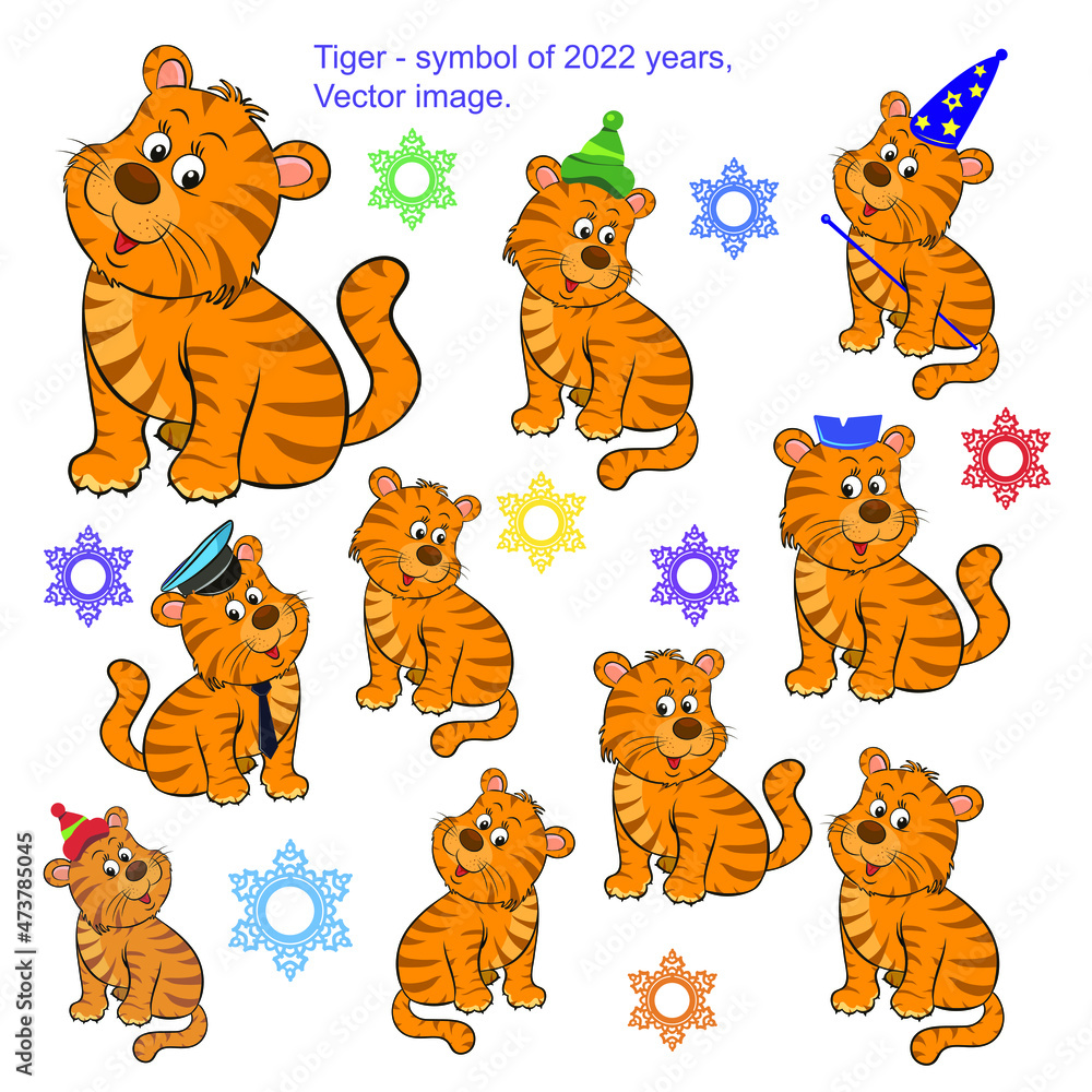 Obraz premium 2022, year Tiger. Image of a cute tiger.