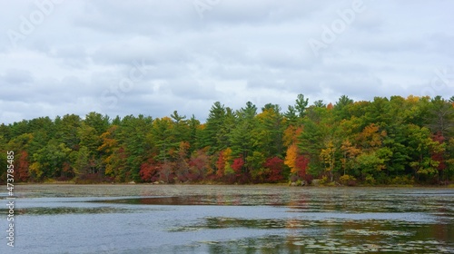 Stearns pond in Harold Parker State Park in Andover, MA during autumn. photo