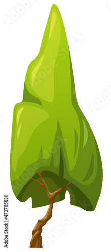 Willow of summer garden or park. Forest landscape element. . Foliage plant. Vector cartoon green tree isolated on white background.