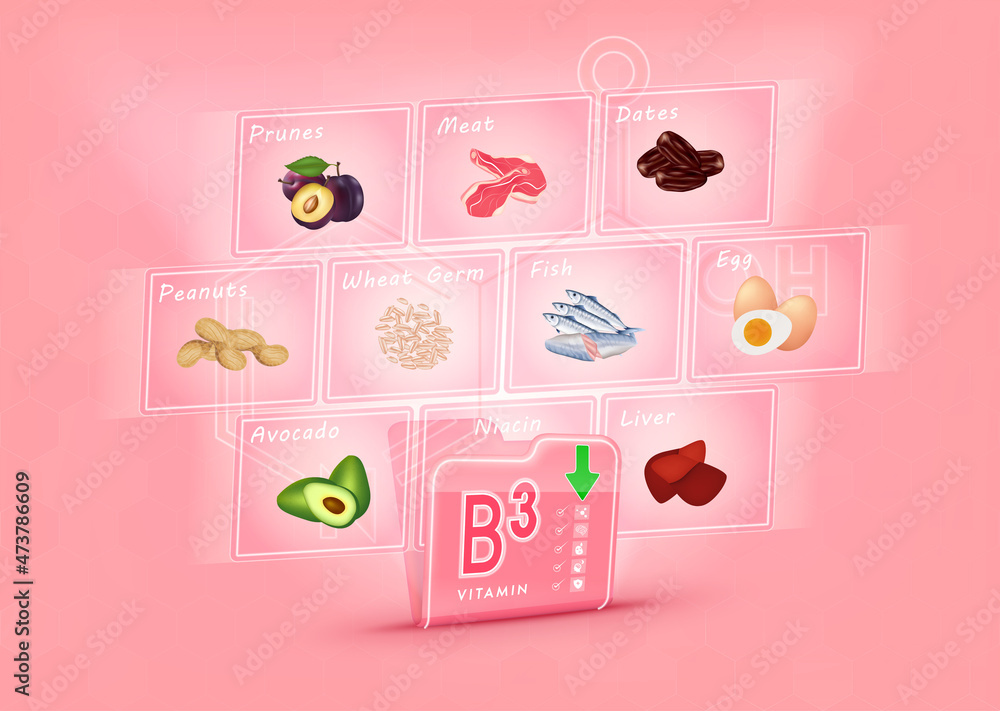 Folder collect vitamin B3 range. There is a screen projecting out ...