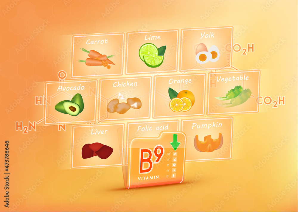 Folder collect vitamin B9 range. There is a screen projecting out