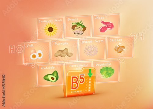 Folder collect vitamin B5 range. There is a screen projecting out pictures of fruits and vegetables. Vitamin that neutralize free radicals. Anti aging beauty concept and health care. 3D vector EPS10.