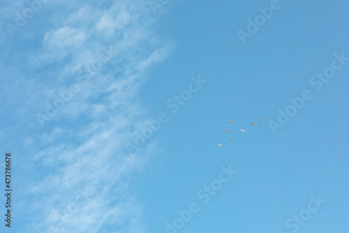 Clouds and birds on the blue clear sky