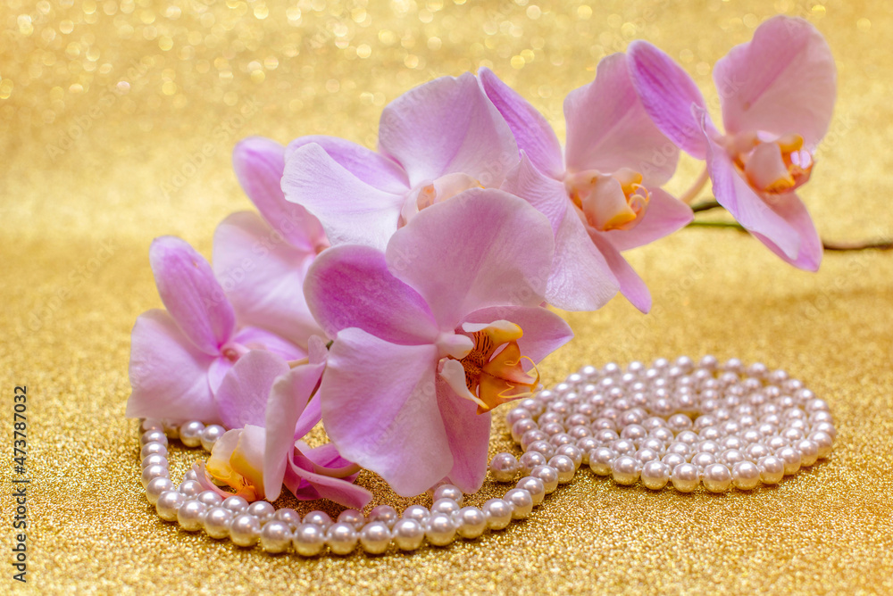 purple Orchid and pearl necklace on a shiny gold background
purple Orchid and pearl necklace on a shiny gold background